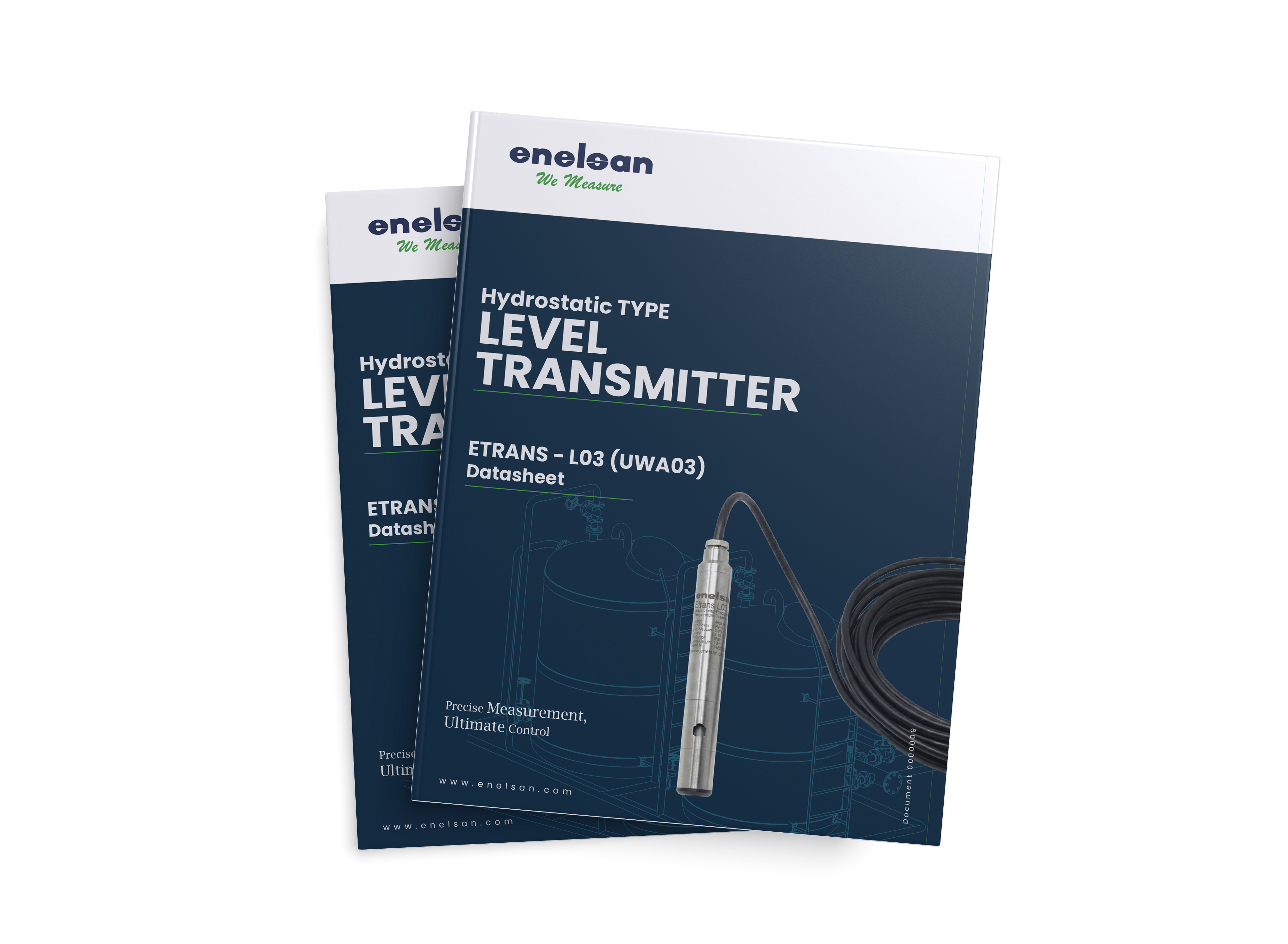 Level