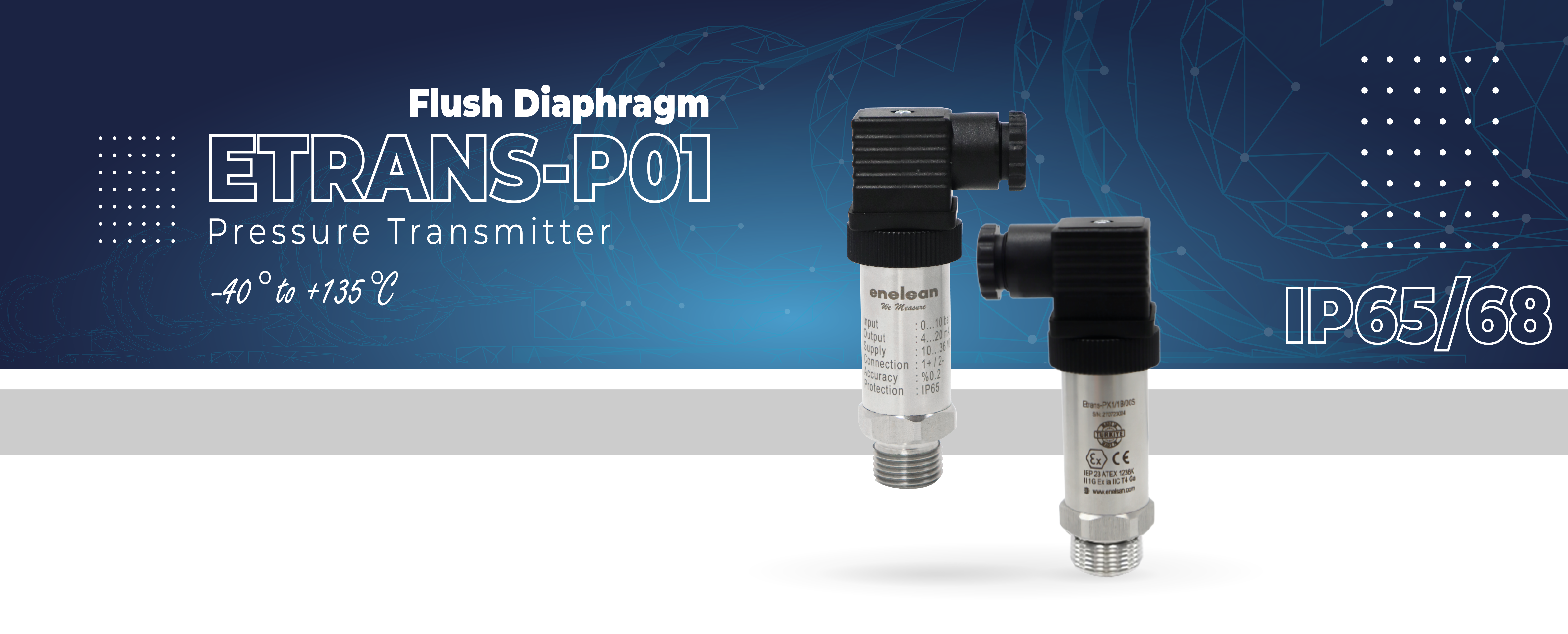 Etrans-P01 Flush Diaphragm Pressure Transmitter